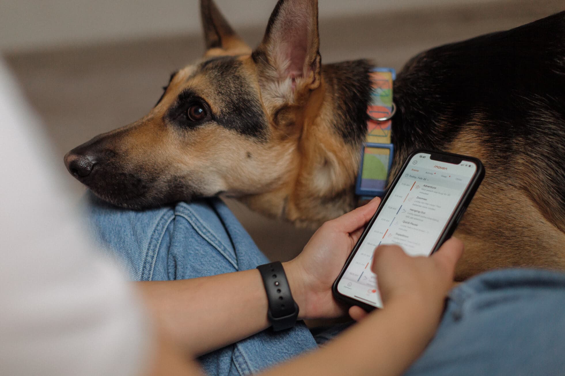 Virtual VetDoc with Maven