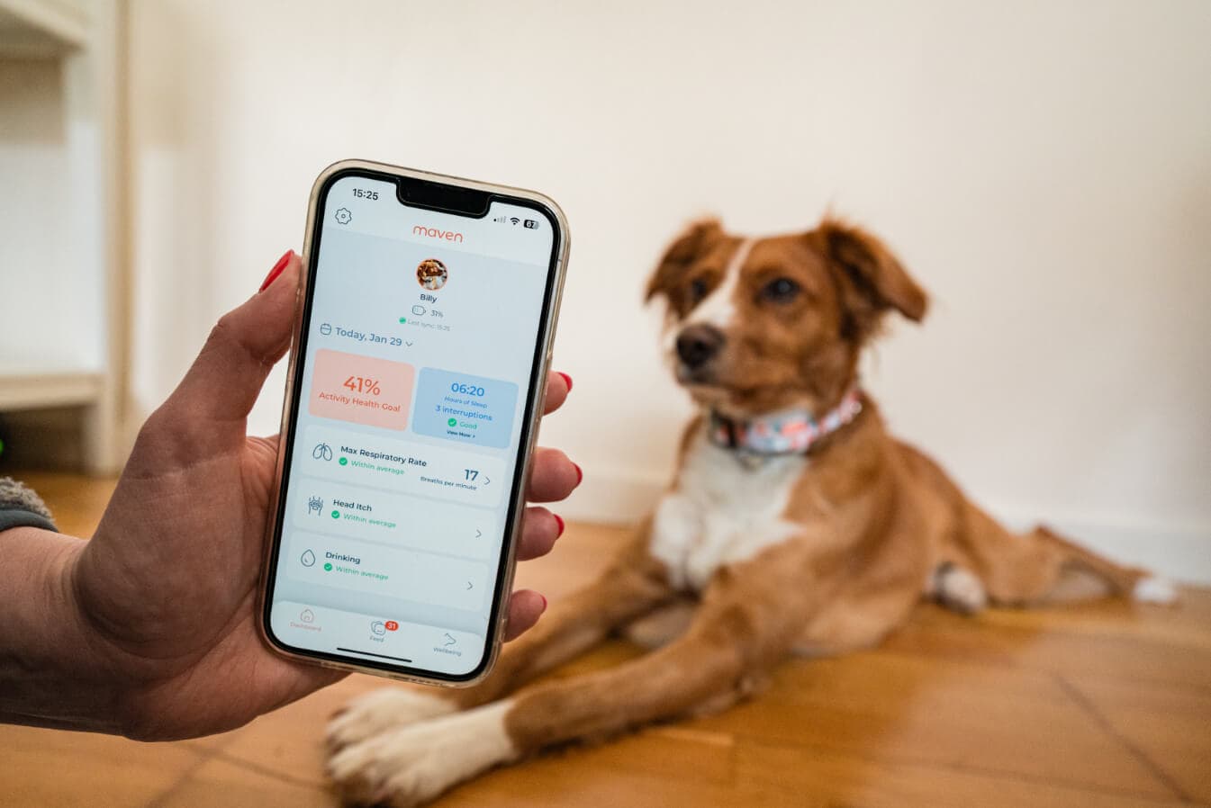 Man sitting with a dog next to a macbook on a desk