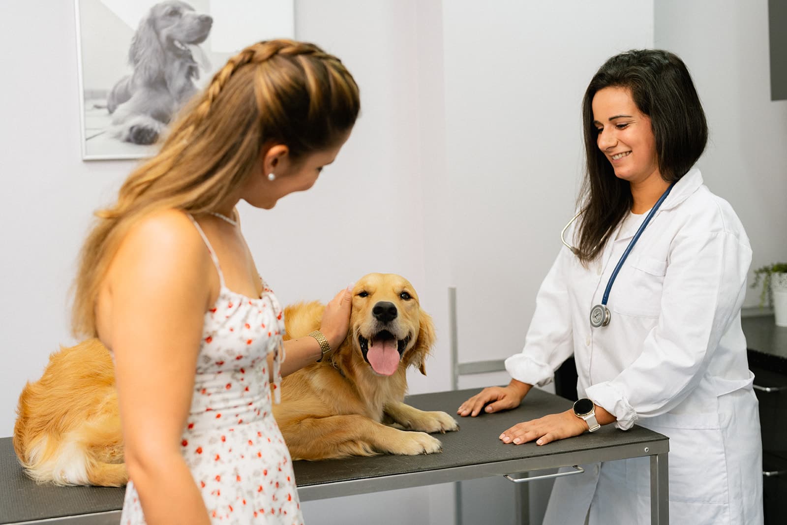 Virtual VetDoc with Maven