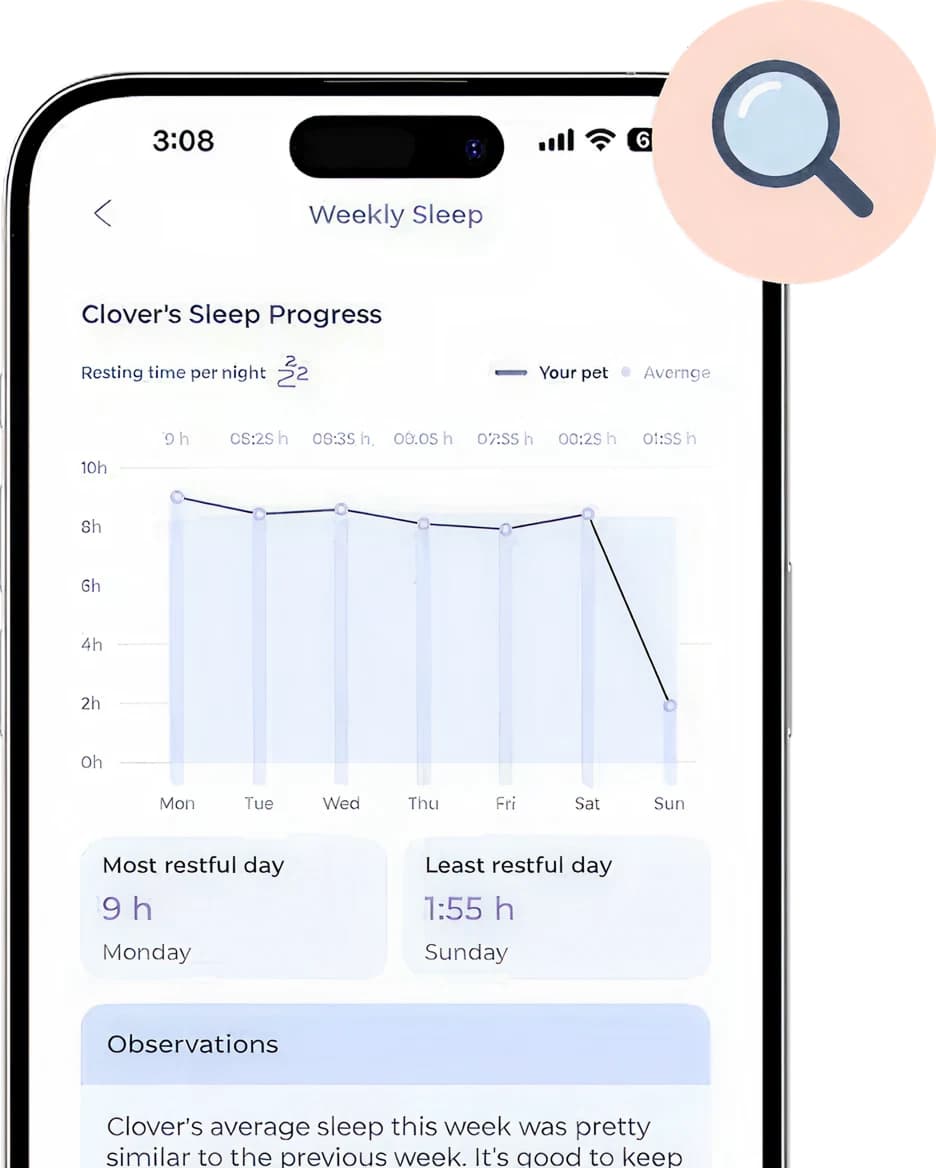 Maven pet wearable app features