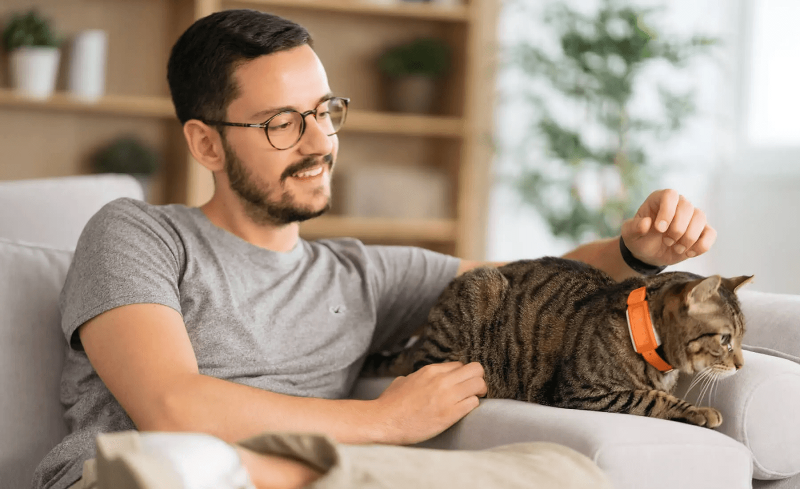 Maven pet wearable tracking data