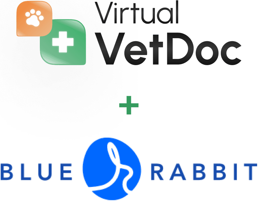 BlueRabbitLogo