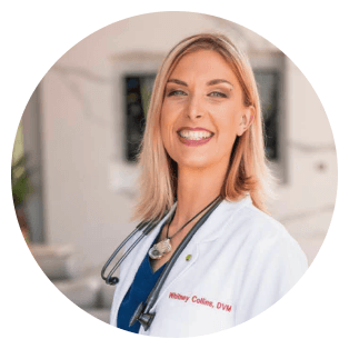 prifile-whitney_collins