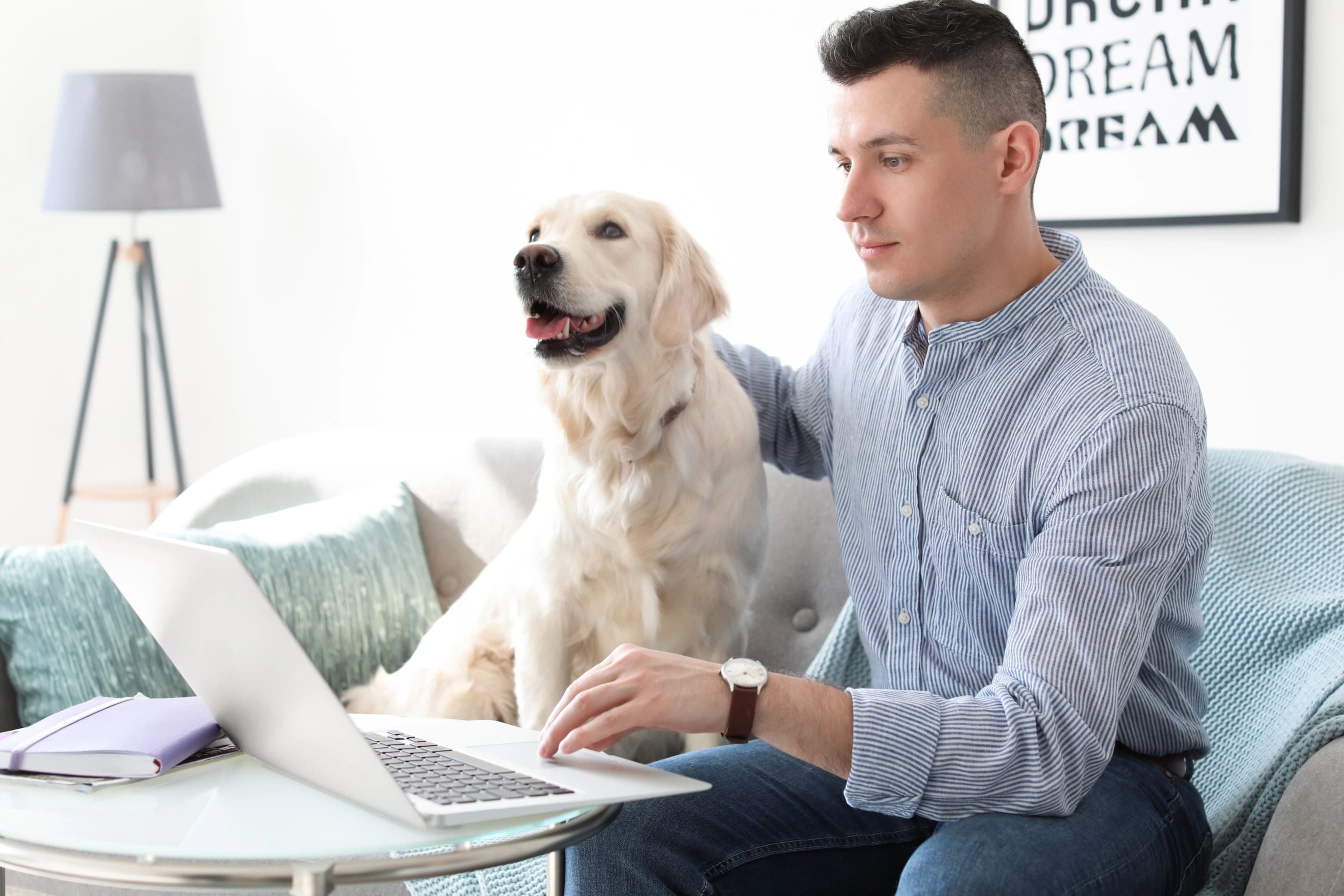 Pet Telemedicine Appointment