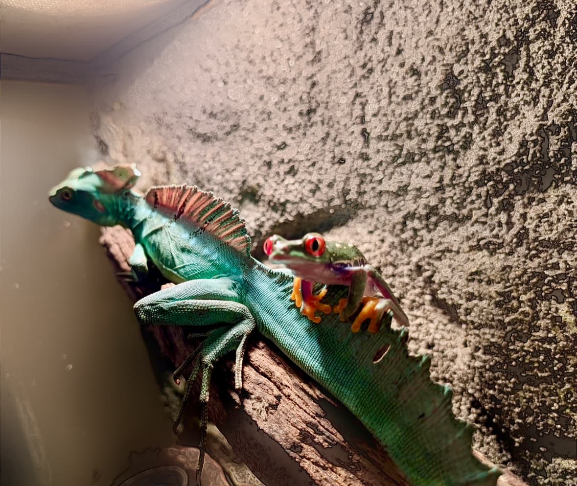 When to See a Vet: Guide for Exotic Pet Owners